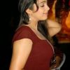 manacine.com43